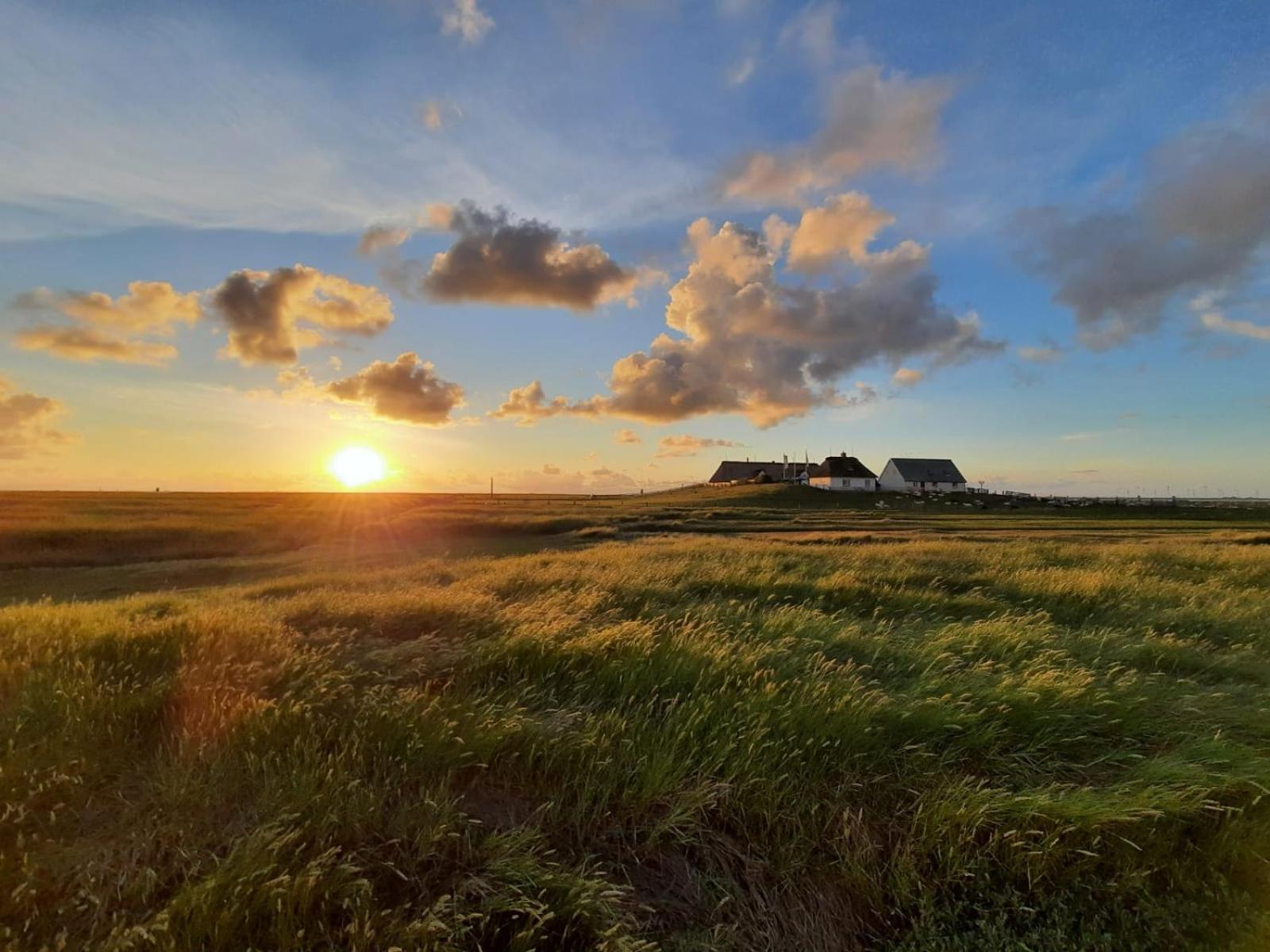 Nordsee Bauernhof Familie Wulff 