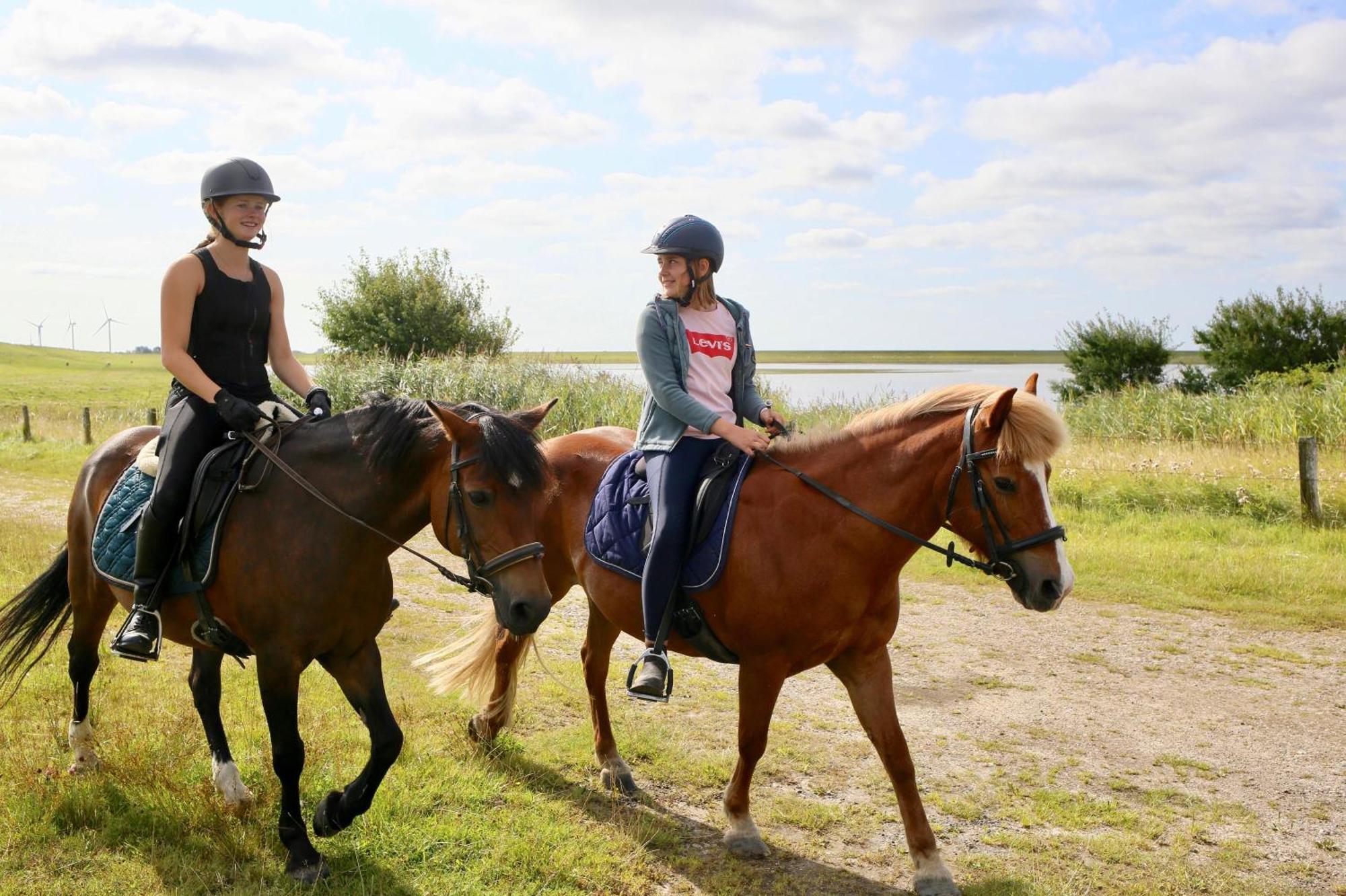Apartment Nordsee Bauernhof Familie Wulff 